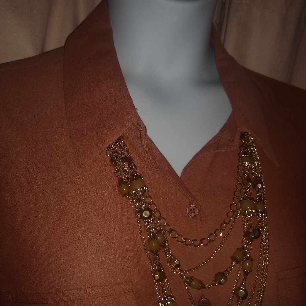Pleione gorgeous sheer blouse..brand vew - Picture 3 of 4